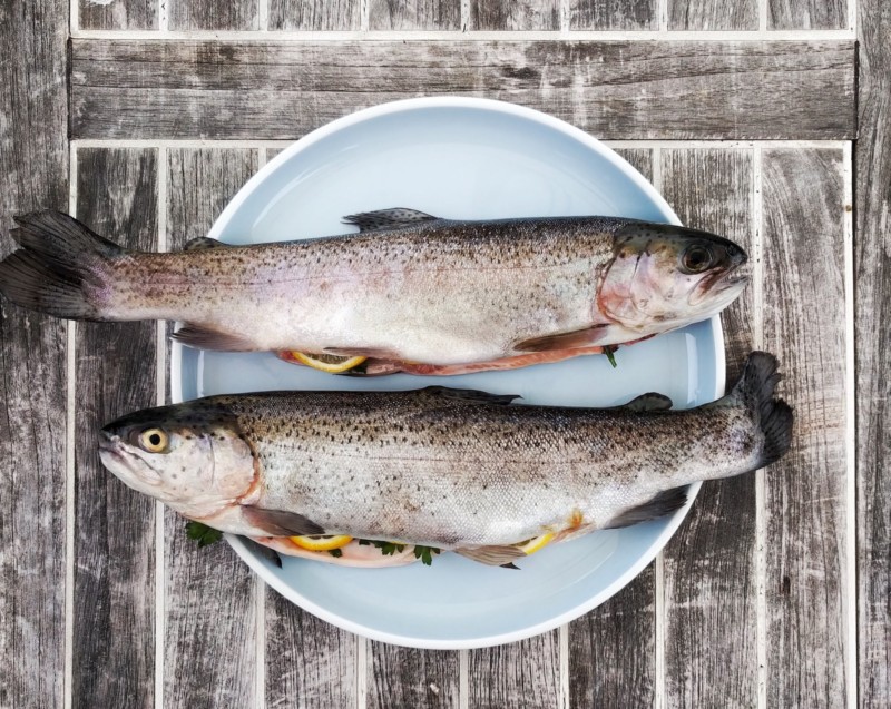 Zwei gegarte Forellen auf einem Teller